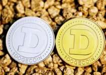 Uncovering the World of Initial Coin Offerings (ICOs)