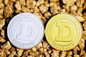 Uncovering the World of Initial Coin Offerings (ICOs)