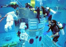 Unveiling the Deepseek Chimera: A Mysterious Creature of the Deep