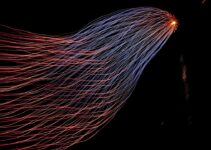 Leveraging Big Data for Business Success